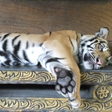 SAVASANA By Andre Meyer