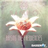 Ramiro - Raising The Frequencies