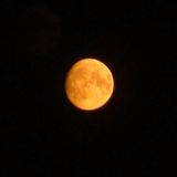 Orange Mix