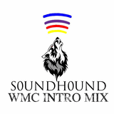 W0LFCAST! Episode 3: WMC Intro Mix
