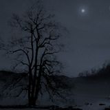 blue yule