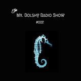 The Mr. Bolshy Radio Show #002