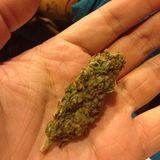 MONSTER P #BAKED 5 JULY