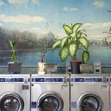 Laundromat & Magazines