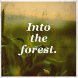 2015.06.23 Seba Lecompte @ Into The Forest 2015