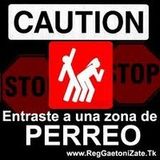 Reggaeton Violento(;
