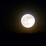 Moonlight