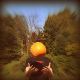 Gourds