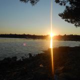 End of Summer 2013 Dub/Jungle/Half Time Mix