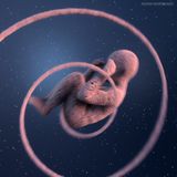 Mahindra Waves - Embryogenesis (Part 1) - Guest Mix for RadioQ37