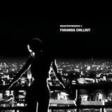 Misanthropendisco 3: Paranoia Chillout