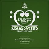 Splendid Sound - Regałowisko 2013 Promomix