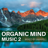 Organic Mind Music 2