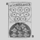 ИICΘLΔS FLΔMΞL & PΞRRΞИΞLLΞ – The Hermetic Raves : Chymical Wedding Mixtapes : Vol. II side B