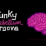 Nothing But The Funk