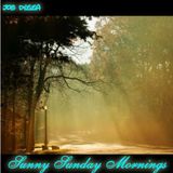 Sunny Sunday Mornings I