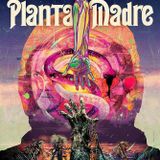 Entrevista con Gianfranco Quattrini, director de PLANTA MADRE
