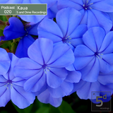 Kaua - 5 and Dime Recordings Podcast March 2014