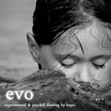 evo - experimental & psychill flowing.