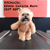DJChaChi's 25Min Calorie Burn (Hip Hop)