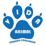 VIDA ANIMAL - Animales en peligro de extinción