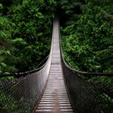 deep into the jungle '93-94