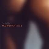 Mix A Bitch Vol 3