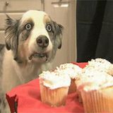 Lucky Mix