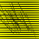 Vic53 #25: Hush House showcase - J.Were b2b R.Cary