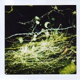 Phology - Not What I Expected (Mix 2010)