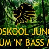 Oldskool Jungle Drum n Bass Mix 92-97