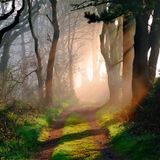 2012 Part 2: Coming To A Threshold