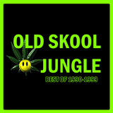 Old Skool Jungle: Best of 1990-1999 - 3 hour digital mix