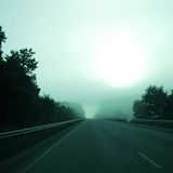 Organic Ambient