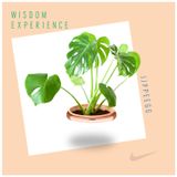 Wisdom Experience