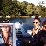 Dougie Boom's Cottage Country Vol. 12