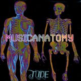 musicanatomy