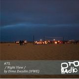 #75. dima zvezdin (IFWE) - night view