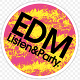 DJ Flash Presents: Festival Mix 13