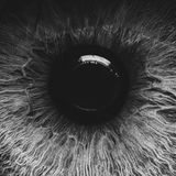 Samya Saraceno@mental Distortion PART 15@podcast