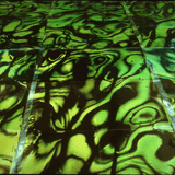 Synthetica
