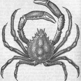 Johnny paguro - clap your crabs mix vol.3