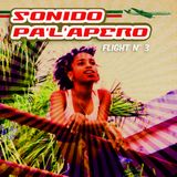 Sonido Palapero - flight N°3