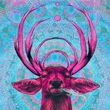 Amusia-E-Scrillah Mix
