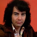 Neil Diamond - 20 magic hits from the 70s