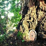 Basshavior - Tree Homes