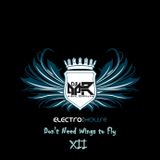 Don't Need Wing to Fly XII (ElectroHouse)