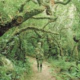 Moonglow @ Shamanic Rituals, UPS, 8.01.2016