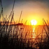 Tales from the Walking Trail 2