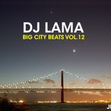 Lama Fenix Project Big City Beats Vol.12